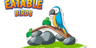 Eatable Birds thumbnail