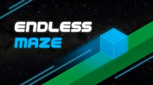 Image for Endless Maze