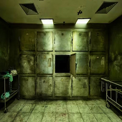Enigma Chapter 1 - Morgue Escape By Gamepix