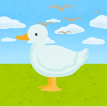 Epic Duck