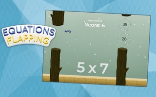 Equations Flapping game cover