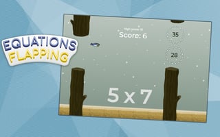 Equations Flapping game cover