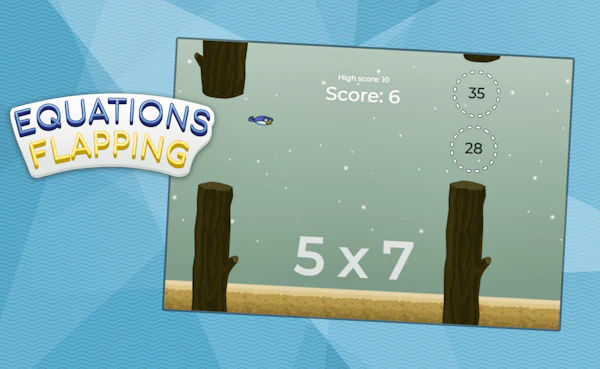 Equations Flapping