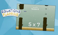 Equations Flapping