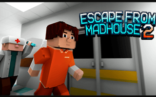 Escape From Madhouse 2 game cover