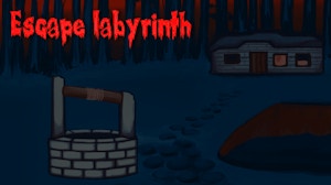 Image for Escape Labyrinth