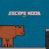 Escape Noob