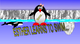 Esther the penguin. Learn to swim.