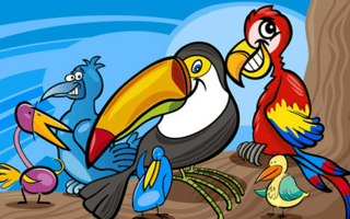 Exotic Birds Coloring