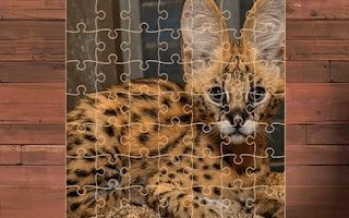 Exotic Cats Jigsaw Puzzles game cover