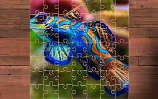 Exotic Sea Animals Jigsaw game cover