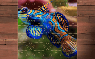 Exotic Sea Animals Jigsaw game cover
