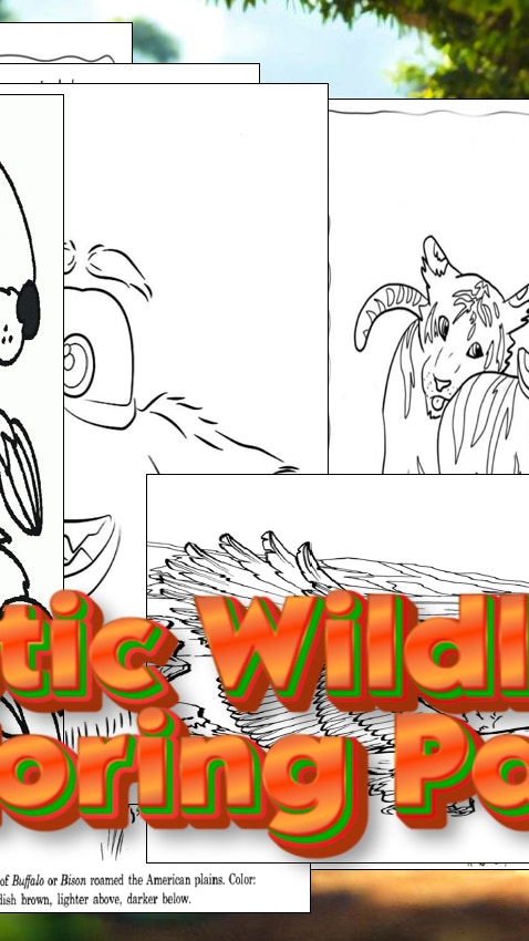 Exotic Wildlife Coloring Page