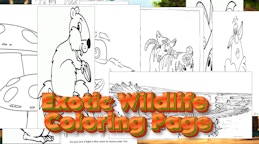 异域野生动物着色页 (Exotic Wildlife Coloring Page)