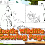 Exotic Wildlife Coloring Page
