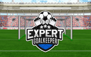 Expert Goalkeeper game cover