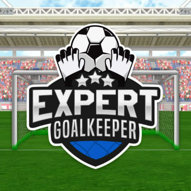 EXPERT GOALKEEPER jogo online gratuito em