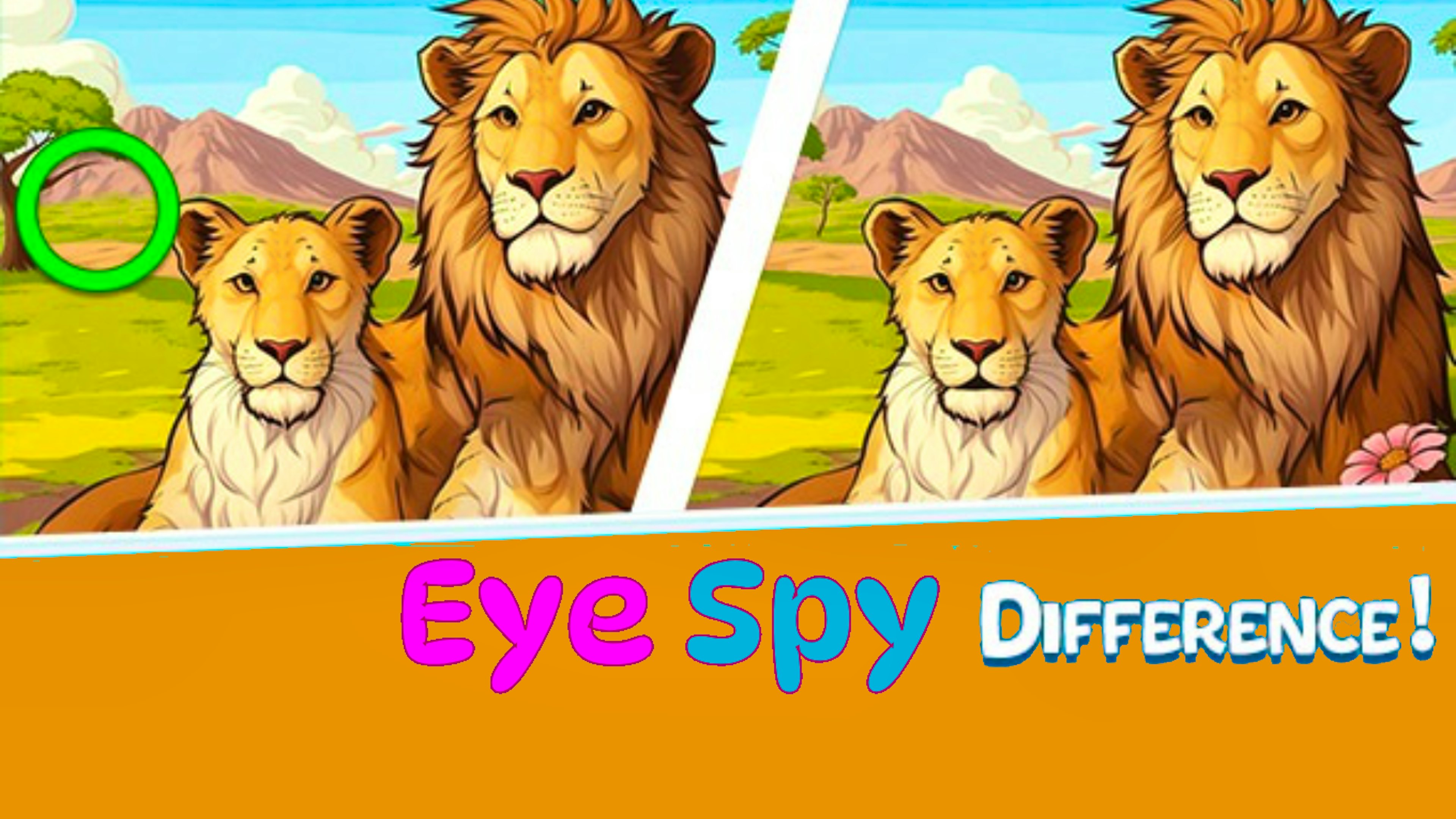 Eye Spy Difference The Garden