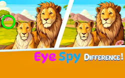 Eye Spy Difference The Garden