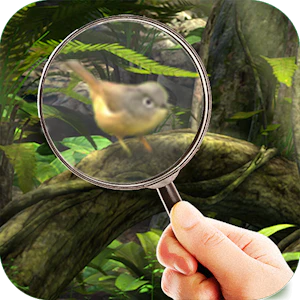 Fairy Woods Hidden Objects Thumbnail
