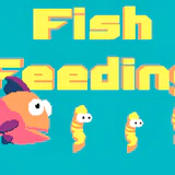Feeding Fish