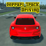 Ferrari Track Driving
