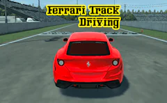 Ferrari Track Driving