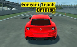 Ferrari Track Driving