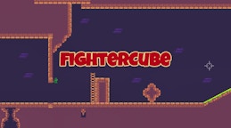 FighterCube