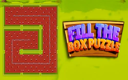 Fill the Box Puzzle