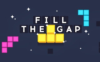 Fill The Gap game cover