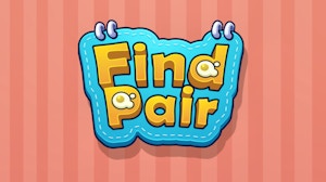 Image for Find Pairs