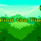 Find the Flag