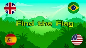 Image for Find the Flag