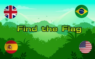 Find The Flag game cover