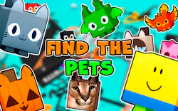 Find the Pets