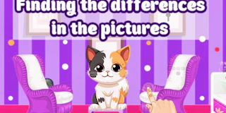 Finding the Differences in the Pictures thumbnail