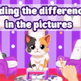 Finding the Differences in the Pictures
