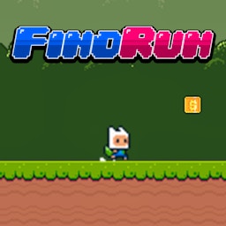 Fino Run