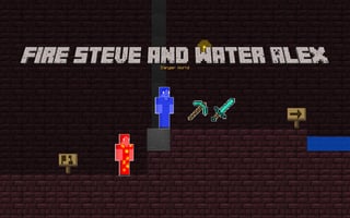 Fire Steve And Water Alex game cover