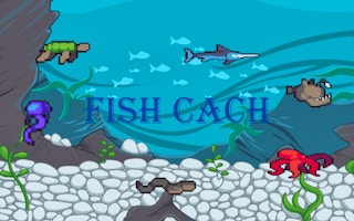 Fish Cach game cover