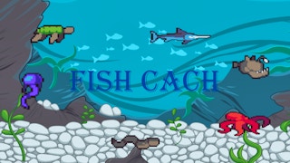 Fish Cach game cover
