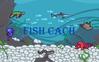 Fish Cach game cover