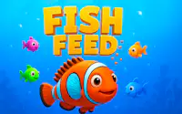 Fish Feed