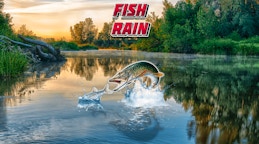 Fish Rain