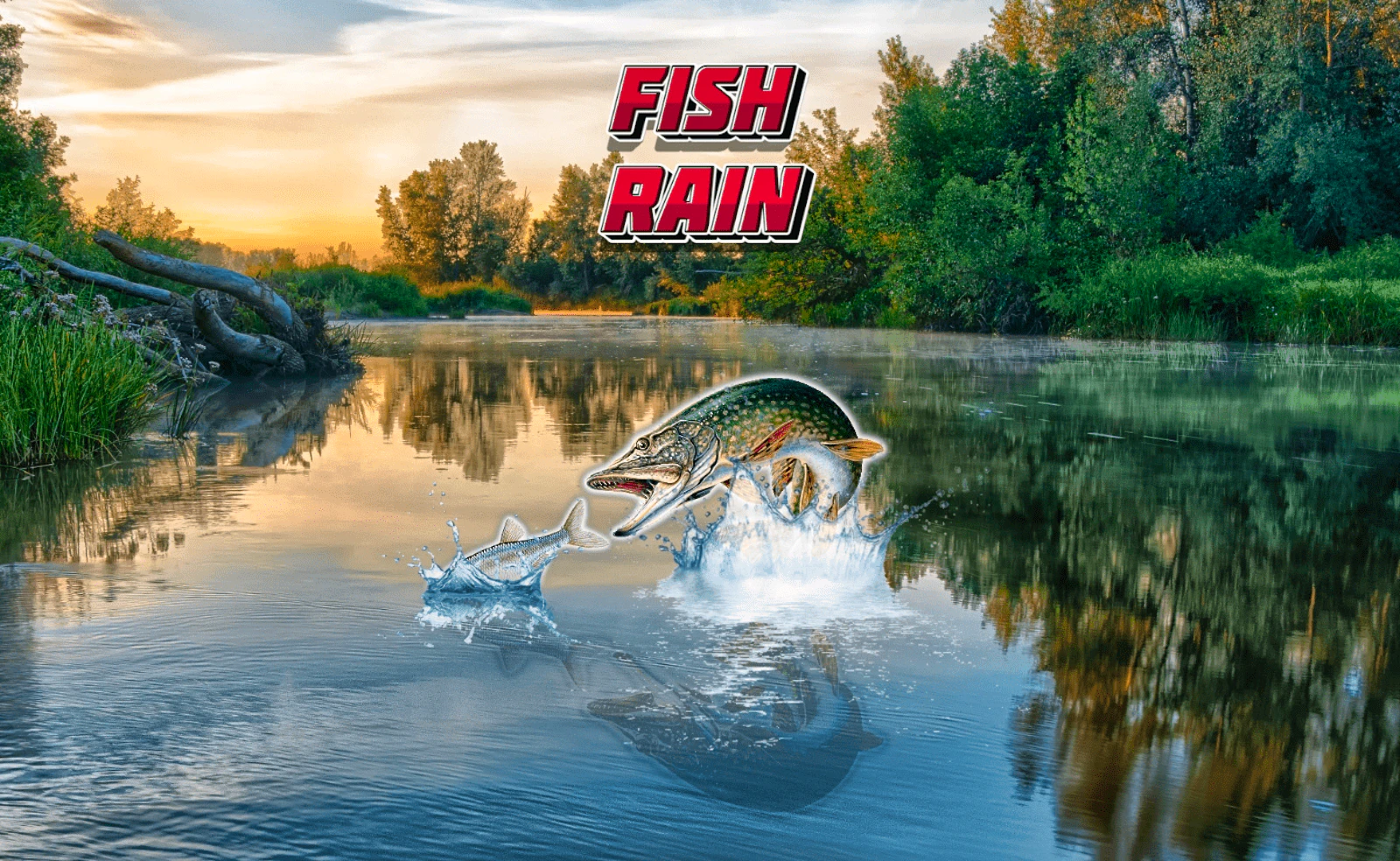 Fish Rain — free online sports game on Glaze Games