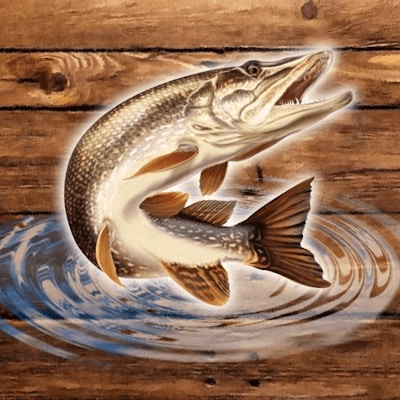 Fish Rain By Gamepix