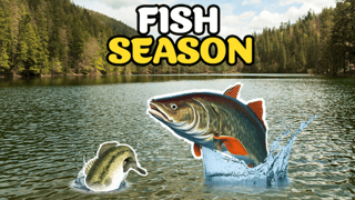 Fish Season game cover