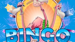 Flamingo Bingo