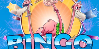 Flamingo Bingo thumbnail